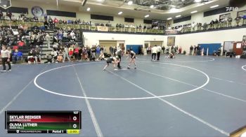 107 lbs Quarterfinal - Skylar Rediger, Bloomer/Colfax vs Olivia Luther, River Falls