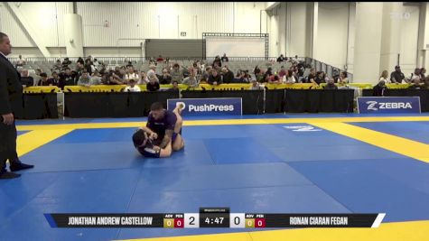 Ronan Ciaran Fegan vs Jonathan Andrew Castellow 2025 World IBJJF Jiu-Jitsu No-Gi Championship