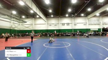 110 lbs Round Of 32 - Anthony Pica, Garden City vs Mason Mangialino, Comsewogue