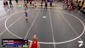 53 lbs Quarterfinal - Gabriel Rivera, IA vs Jack Pederson, MN