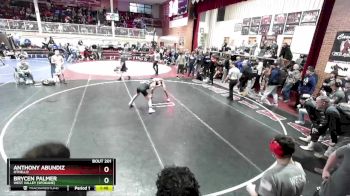 132 lbs Champ. Round 2 - Brycen Palmer, West Valley (Spokane) vs Anthony Abundiz, Othello