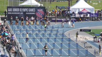 Youth Men's 110m Hurdles Aau Junior Olympics, Finals 2 - Age 17-18