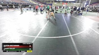 113 lbs Cons. Round 3 - Austin Grzywinski, MN vs Caden Gallet, KS