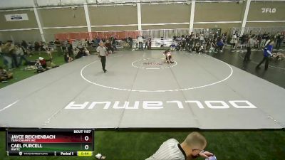 86 lbs Quarterfinal - Cael Purcell, INWTC vs Jayce Reichenbach, Team Champs WC