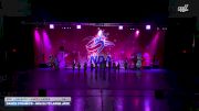 Dance Dynamics - Mini Elite Large Jazz [2025 Mini - Premier - Jazz - Large Day 1] 2025 NDA Houston Regional