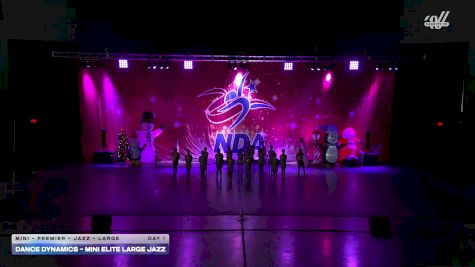 Dance Dynamics - Mini Elite Large Jazz [2025 Mini - Premier - Jazz - Large Day 1] 2025 NDA Houston Regional