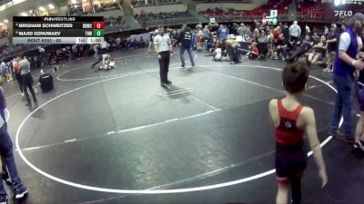 60 lbs Cons. Semi - Brigham Schweitzer, Broken Bow Wrestling Club vs Majid Dzhumaev, The Best Wrestler