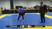 Sesily Michelle Vinson vs Ellen Theresa Fagan 2026 Pan IBJJF Jiu-Jitsu No-Gi Championship