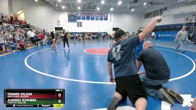 67 lbs Semifinal - Audrina Summers, Touch Of Gold WC vs Tanner Wilson, High Plains Thunder