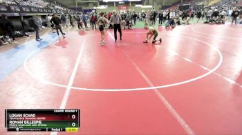 120 lbs Champ. Round 1 - Logan Schad, Team Nazar Training Center vs Roman Gillespie, Frisco Wakeland High School Wrestling