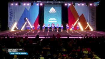Cheer Florida All Stars - Unicorns [2025 L2 Youth - Medium Day 1] 2025 The Youth Summit