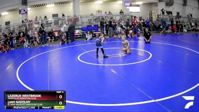 48 lbs Quarterfinal - Liam Nadolny, El Paso Wildcats Wrestling Club vs Lazerus Westbrook, Texas Elite Wrestling Club