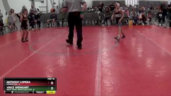 75 lbs Placement Matches (8 Team) - Anthony Lopera, M2 Blue (NJ) vs VINCE WEINGART, West Shore Wrestling Club