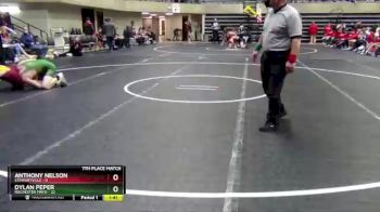 182 lbs Finals (8 Team) - Anthony Nelson, Stewartville vs Dylan Peper, Rochester Mayo