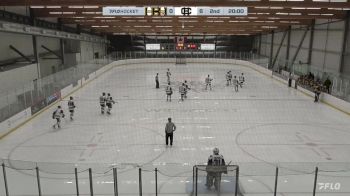 Replay: Home - 2024 Bruins vs Calgary IHA | Jan 25 @ 3 PM