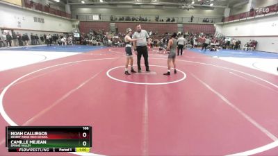 106 lbs Cons. Round 4 - Camille Mejean, Spring Valley vs Noah Callirgos, Desert Ridge High School