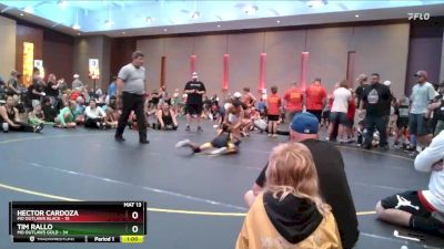 92 lbs Quarterfinals (8 Team) - Hector Cardoza, MO Outlaws Black vs Tim Rallo, MO Outlaws Gold