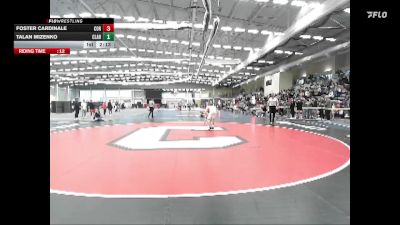 141 lbs Round 1 - Foster Cardinale, Cornell vs Talan Mizenko, Clarion