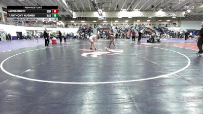 125 lbs 3rd Place Match - Anthony Hughes, Marian University (IN) vs Jacob Bucci, Southeastern