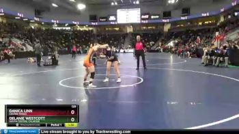 125 lbs Champ. Round 2 - Delanie Westcott, South Central Calhoun vs Danica Linn, Colfax-Mingo