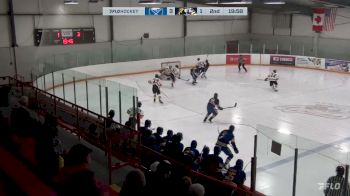 Replay: Home - 2024 Sabres vs Cougars | Feb 2 @ 7 PM