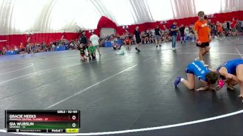 92-101 lbs Round 3 - Gracie Meeks, Franklin Central Flashes vs Gia Wurslin, Geneseo