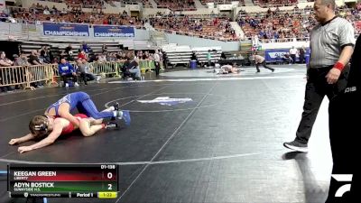 D1-138 lbs Semifinal - Keegan Green, Liberty vs Adyn Bostick, Sunnyside H.S.