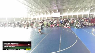 48 lbs Quarterfinal - Journey Whitford, Sanderson Wrestling Academy vs Mason Coates, Brighton Wrestling Team