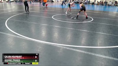 95 lbs Semis & 1st Wrestleback (8 Team) - Dominic Franco, Dassel-Cokato-Litchfield vs Calvin Holmquist, UNC (United North Central)