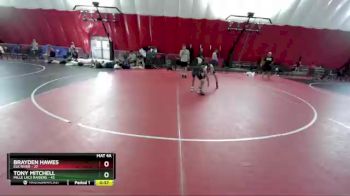 98-100 lbs Round 1 - Tony Mitchell, Mille Lacs Raiders vs Brayden Hawes, Elk River