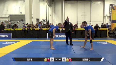 NATHAN T. vs RAY W. 2025 World IBJJF Jiu-Jitsu No-Gi Championship