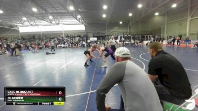 144 lbs Champ. Round 1 - Dj Neider, East Idaho Elite vs Cael Blonquist, North Summit Youth Wrestling