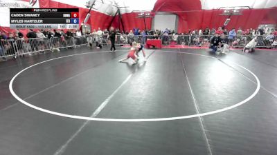113 lbs Champ. Rd Of 16 - Caden Swaney, Black Hills Wrestling Academy vs Myles Hartzler, Illinois Top Dawgs