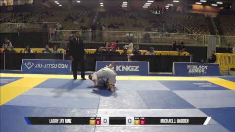 Michael J. Hadden vs Larry Jay Ruiz 2025 Pan Jiu Jitsu IBJJF Championship