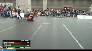 133 lbs Quarters & 1st Wb (16 Team) - Isaiah Shafer, RIT vs Kyle Nase, TCNJ