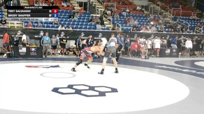 138 lbs Cons. Sub-rd Of 64 - Trey Salvaggio, Pennsylvania vs Brody Shaffer, New York