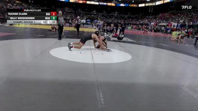 132 lbs Champ. Round 1 - Billy Weisgerber, Mead vs Tucker Clark, Rigby
