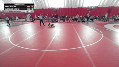 8U True Beginner - 66.8-67.9 Champ. Round 3 - Hawk Nolden, Pardeeville Boys Club Youth Wrestling vs Audrielle Ritchie, Wisconsin