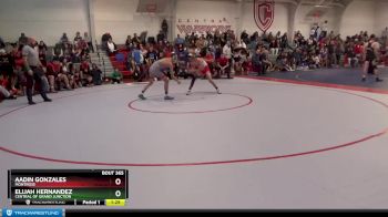 106 lbs Quarterfinal - Elijah Hernandez, Central Of Grand Junction vs Aadin Gonzales, Montrose