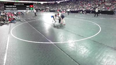 D3-215 lbs Semifinal - Wesley Egan, Parkview/Albany vs Tellyer Alix, Weyauwega-Fremont