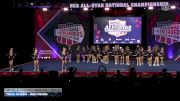Tech Cheer - Red Reign [2026 L2 Junior - Medium Day 2] 2026 NCA All-Star National Championship