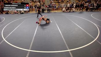 113 lbs Cons. Round 4 - Vincent DeMarco, IL vs Kaiden Belinsky, IA