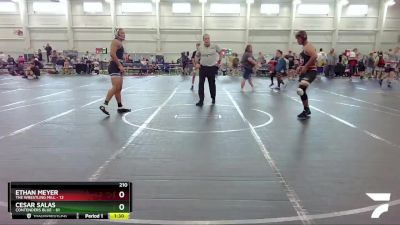 210 lbs Round 5 (6 Team) - Ethan Meyer, The Wrestling Mill vs Cesar Salas, Contenders Blue