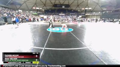 74 lbs Cons. Round 2 - Tucker McCoy, Askeo International Mat Club vs Reed Nelson, Enumclaw Yellow Jackets Wrestling Club