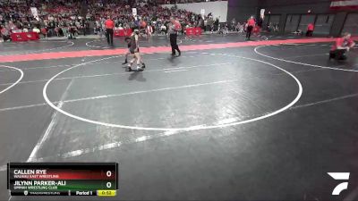 85 lbs Quarterfinal - Callen Rye, Wausau East Wrestling vs Jilynn Parker-Ali, Ummah Wrestling Club