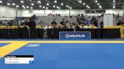 Carina Curvelo Santi vs Tayane Porfírio De Araújo 2024 World Masters IBJJF Jiu-Jitsu Championship