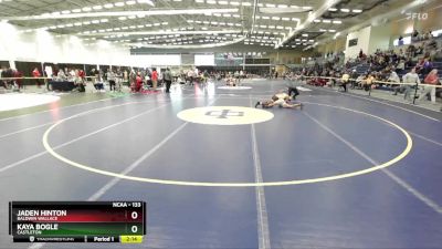 133 lbs Quarterfinal - Jaden Hinton, Baldwin Wallace vs Kaya Bogle, Castleton