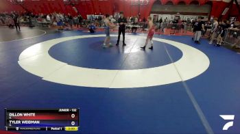 132 lbs Cons. Round 4 - Dillon White, IL vs Tyler Weidman, IL