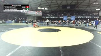 Boys 3A 165 lbs Champ. Round 3 - Jesse Anderson, Central Kitsap vs Brody Strandt, Snohomish