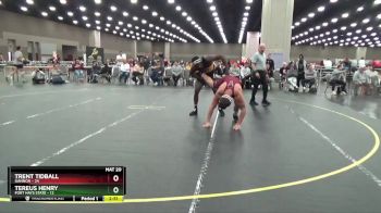 197 lbs Placement (4 Team) - Trent Tidball, Gannon vs Tereus Henry, Fort Hays State